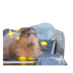 [LINEスタンプ] いしかわ動物園 動物達のスタンプ