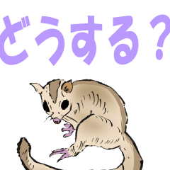 [LINEスタンプ] リアル動物日常会話