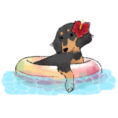 [LINEスタンプ] 【修正版】ミニチュアダックスのモクちゃん