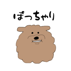 [LINEスタンプ] ぽっちゃり トイプードル