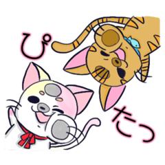 [LINEスタンプ] にゃん×3！！！