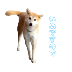 [LINEスタンプ] イヌおにぎり2