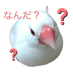 [LINEスタンプ] ぶんぶんぶんた！