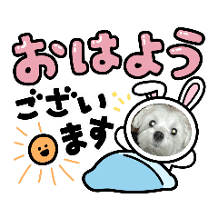 [LINEスタンプ] 今日の一日お疲れ様です