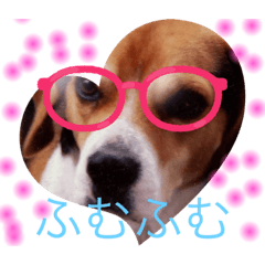 [LINEスタンプ] ワンちゃんだよー？