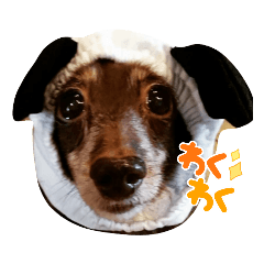 [LINEスタンプ] アンリと杏子