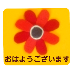 [LINEスタンプ] お花いっぱいカラフル敬語スタンプ