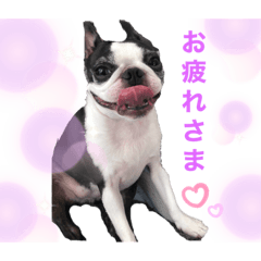 [LINEスタンプ] レイちいスタンプ④