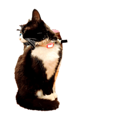 [LINEスタンプ] 猫とジャンガリアンハムスター