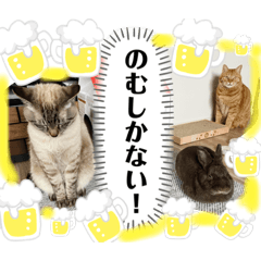 [LINEスタンプ] Riverside-Stamp