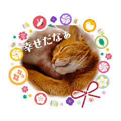 [LINEスタンプ] はな婆さん