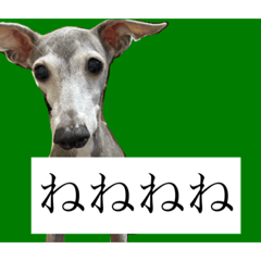 [LINEスタンプ] リタのね