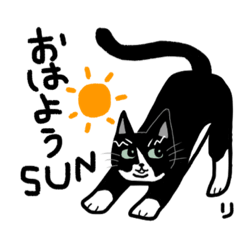 [LINEスタンプ] 白黒猫のりん3