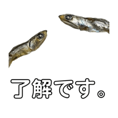 [LINEスタンプ] 福岡 煮干しの会