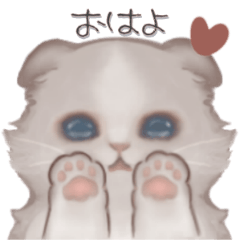 [LINEスタンプ] いつでも使える長毛猫♡日常