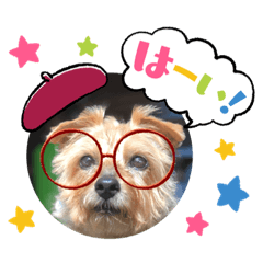 [LINEスタンプ] 今日も頑張るテンたん