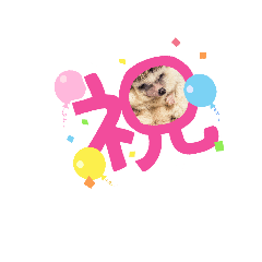 [LINEスタンプ] はりねずみハーリー。