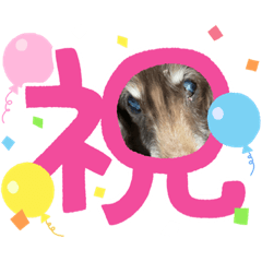 [LINEスタンプ] ちゅりんぼ春