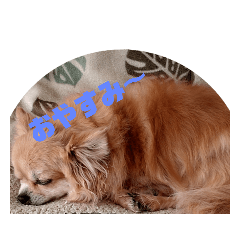 [LINEスタンプ] ちよっちゃんの画像（メイン）