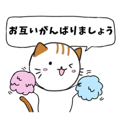 [LINEスタンプ] 毎日使える敬語スタンプ ねこ