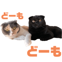 [LINEスタンプ] キャンディ＆ぼ太 その1