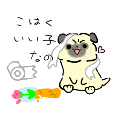 [LINEスタンプ] パグのこはく専用スタンプ