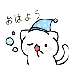 [LINEスタンプ] にゃんこの毎日スタンプ