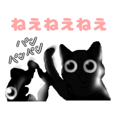 [LINEスタンプ] おもしろ可愛い黒猫スタンプ