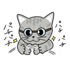 [LINEスタンプ] ねこメガネの日常会話 1