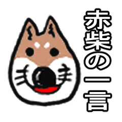 [LINEスタンプ] 赤柴犬の一言集