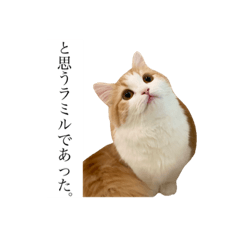 [LINEスタンプ] ラミルさんの生活②