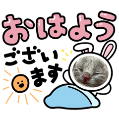 [LINEスタンプ] 5 baby cats