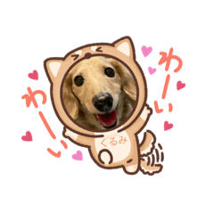 [LINEスタンプ] kmクルミル