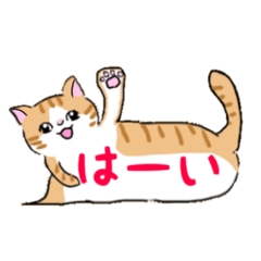 [LINEスタンプ] ねこにゃん吹き出し