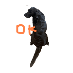 [LINEスタンプ] らぶらどーるのあん⑵