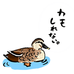 [LINEスタンプ] ほっとする身近な生きもの