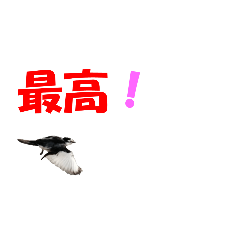 [LINEスタンプ] minoru アニメ1