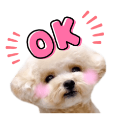 [LINEスタンプ] puttyちゃんの日常スタンプ
