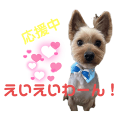 [LINEスタンプ] J♡Yくん