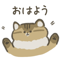 [LINEスタンプ] まんまるい猫のトゥンスニ