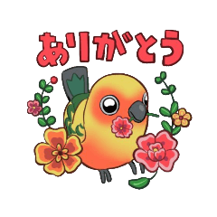 [LINEスタンプ] インコのあいさつのスタンプ