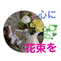 [LINEスタンプ] 小春びより…の空