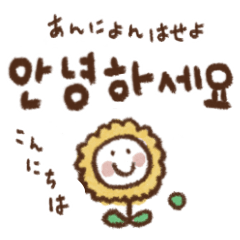 [LINEスタンプ] 毎日使える日常✨韓国語
