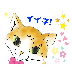 [LINEスタンプ] ねこのごあいさつ。