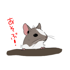 [LINEスタンプ] パイドデグーのスタンプ