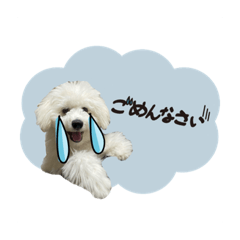 [LINEスタンプ] うちのハウルくんの画像（メイン）