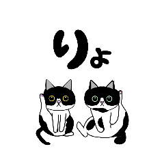 [LINEスタンプ] ハチワレちゃんたち