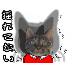 [LINEスタンプ] 猫(キジトラ)日常で使える可愛いスタンプ6