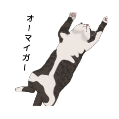 [LINEスタンプ] ビビさんとときどきペルくん