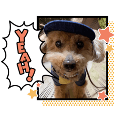 [LINEスタンプ] お散歩大好きタロウくん